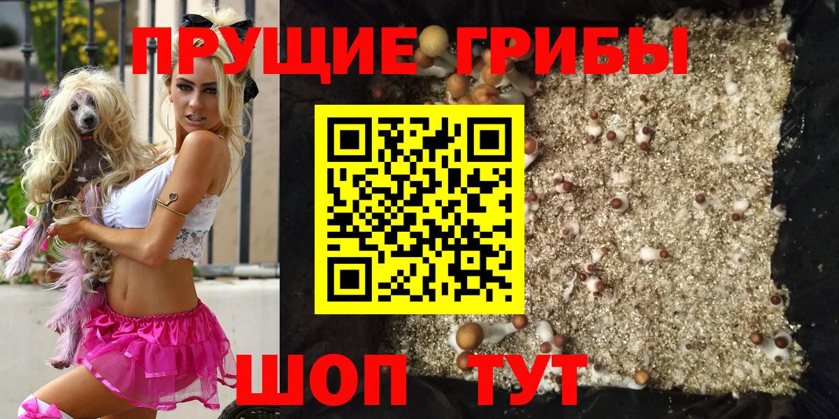 Шарыпово  Галлюциногенные грибы прущие грибы  купить закладку  Вход с VPN 